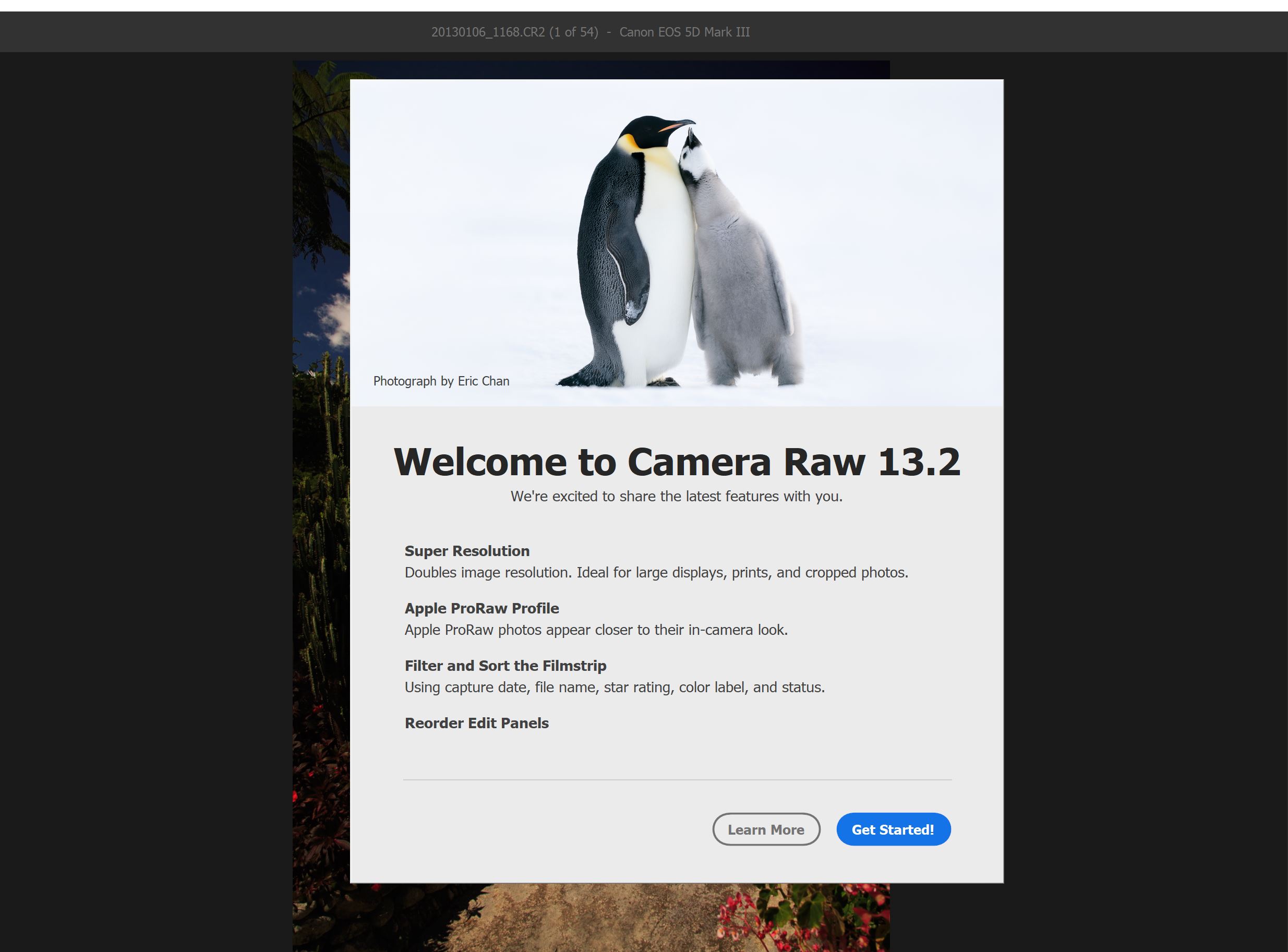 You are currently viewing Обновление ADOBE Camera Raw 13.2